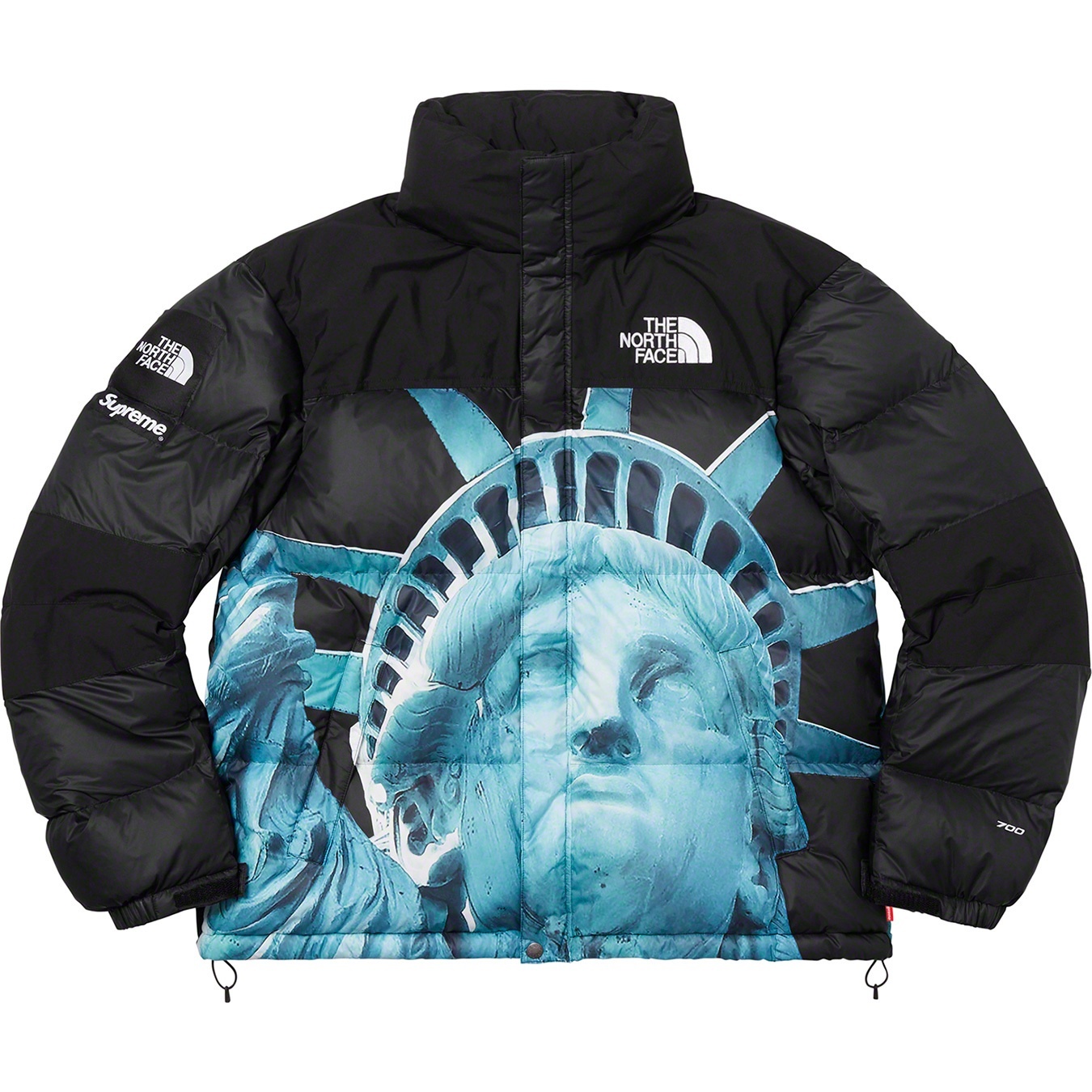Supreme®/The North Face® Statue of Liberty Baltoro Jacket view 15